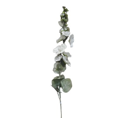 Flor - Flores blancas      